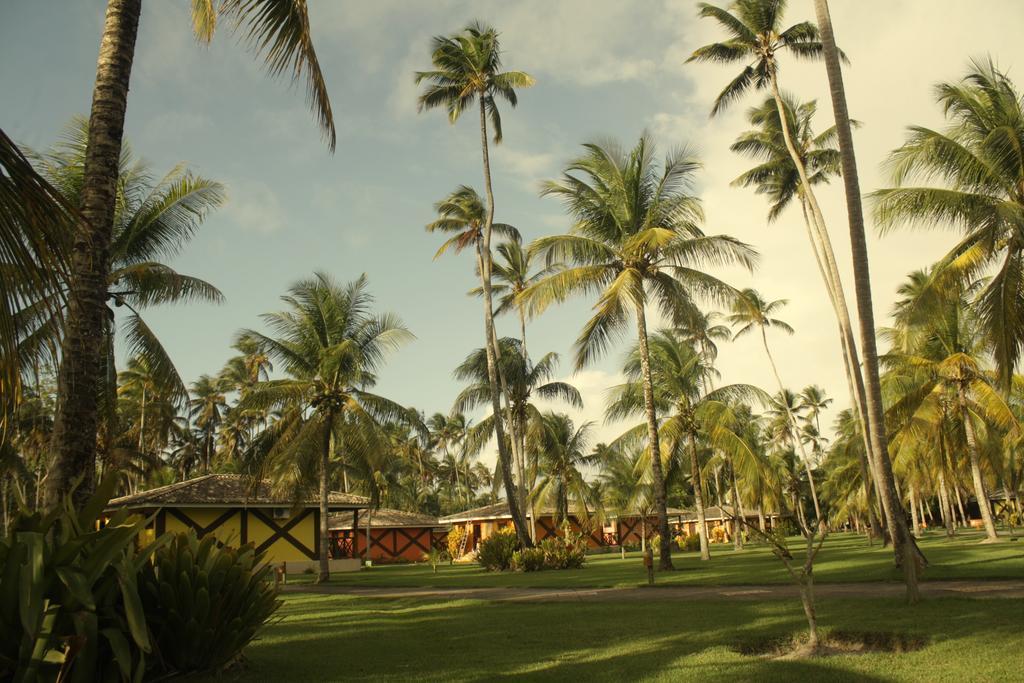 Patachocas Hotel มอร์โฮเจอเซาเปาลู ภายนอก รูปภาพ